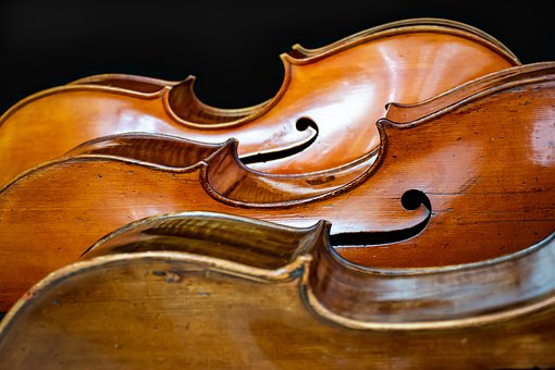 violon