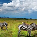 parc national de Meru