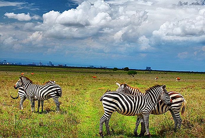 parc national de Meru